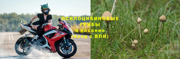 прущий лед Богородицк